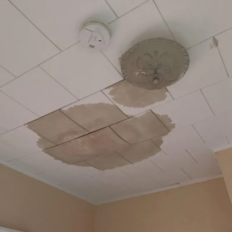 Ceiling Water Damage Repair in Tioga, ND