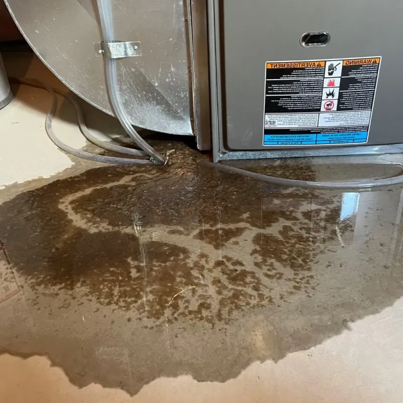 Pipe Burst and Leak Restoration in Tioga, ND