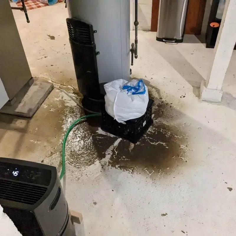 Sewage Backup Cleanup Service in Tioga, ND